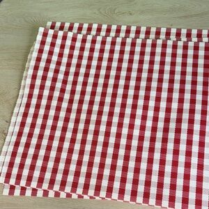 Red and White Checkered Placemats set of 4